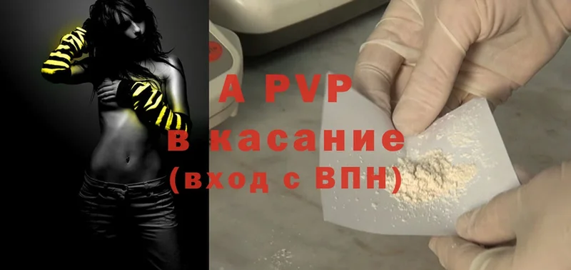 A-PVP СК КРИС  Углич 